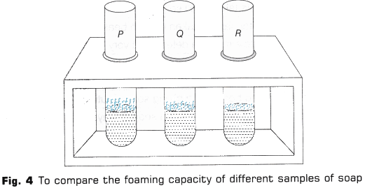 Lab Manual: Cleaning Capacity of Soap in Hard and Soft Water - Class 10