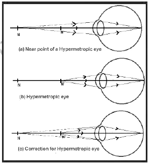 Human Eye and Colourful World Class 10 Worksheet Science Chapter 10