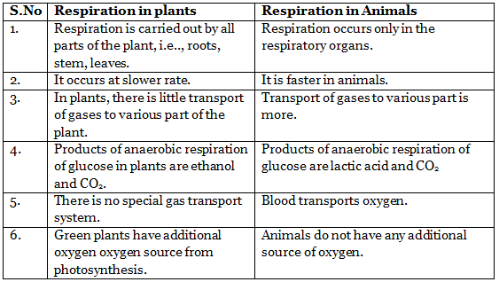 Aerobic & Anaerobic Respiration | Science Class 10