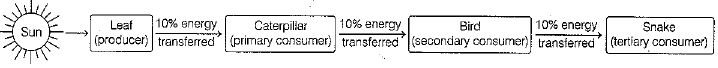Class 10 Science: CBSE Sample Question Paper (2019-20) - 1 | Science Class 10