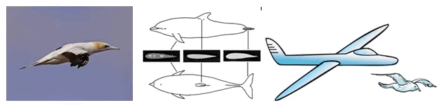 Friction Class 8 Notes Science Chapter 9