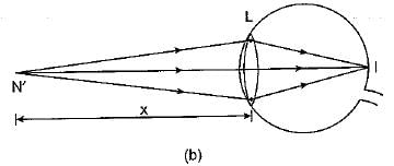 Class 10 Science: CBSE Sample Question Paper (2019-20) - 4 | Science Class 10