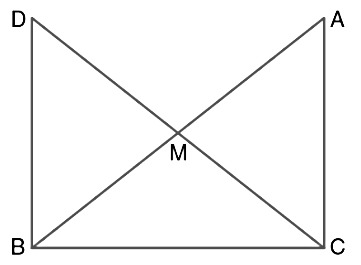 Class 9 Maths Chapter 6 Question Answers - Triangles