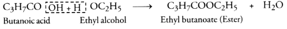Class 10 Science Chapter 4 HOTS Questions - Carbon and Its Compounds
