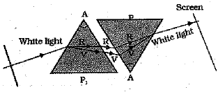 Class 10 Science: CBSE Sample Question Paper (2019-20) - 8 | Science Class 10