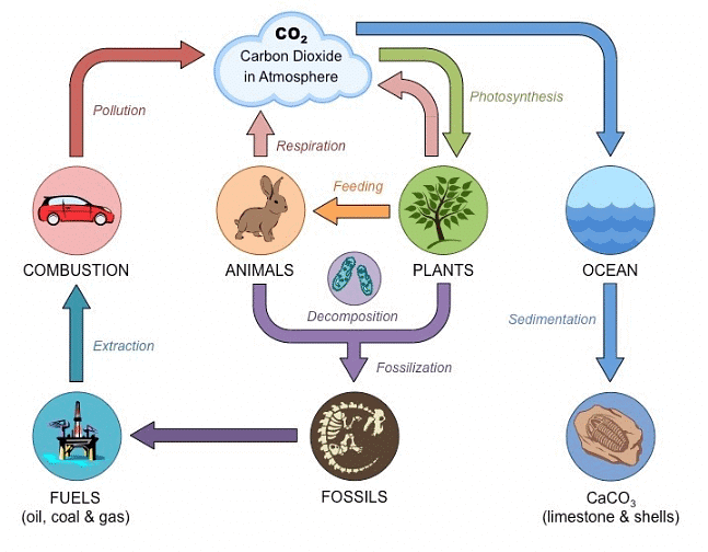 Natural Resources Summary Class 9 Science