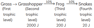 Class 10 Science - Previous Year Questions - Our Environment