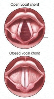 Sound Summary Class 9 Science Chapter 11
