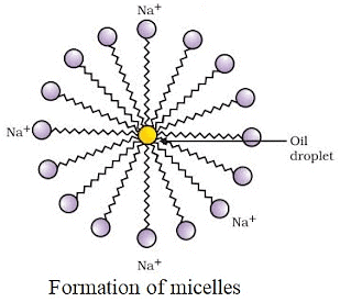 Olympiad Notes: Carbon and Its Compounds | Olympiad Preparation for Class 10