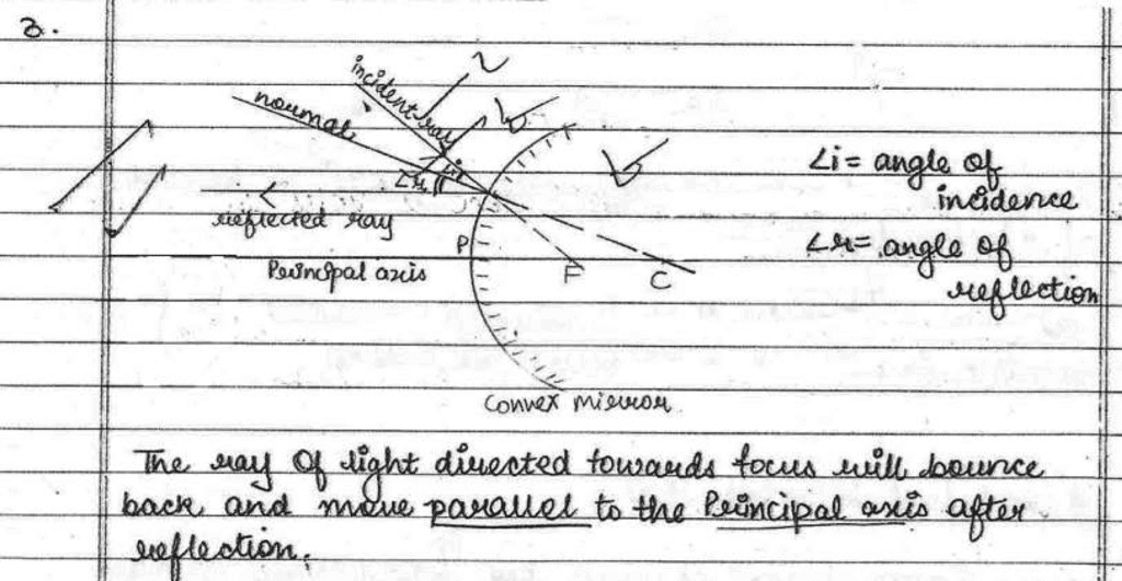 Science Topper`s Answer Sheet - 2019, Class 10