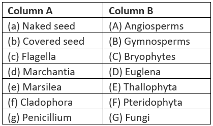 NCERT Exemplar: Diversity in Living Organisms - Class 9