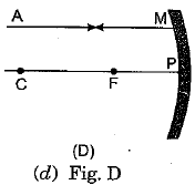 Class 10 Science: CBSE Sample Question Paper (2019-20) - 7 | Science Class 10