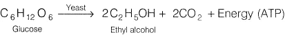 Lab Manual: CO2 is Released During Respiration - Class 10