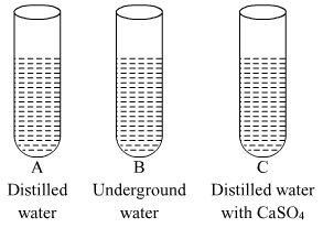 Board Paper of Class 10 2019 Science Delhi(Set - 1) | Past Year Papers for Class 10
