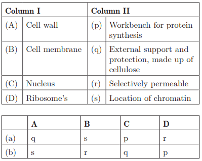Class 9 Science Chapter 5 Practice Question Answers - The Fundamental Unit of Life