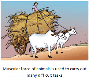 Force & Pressure Summary Class 8 NCERT Summary