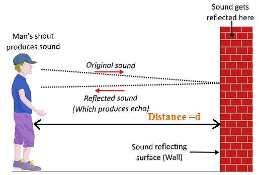 Important Diagrams: Sound | Science Class 9