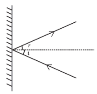 NCERT Exemplar Solutions: Light | Science Class 8
