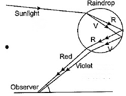 Class 10 Science Chapter 10 Previous Year Questions - The Human Eye and the Colourful World