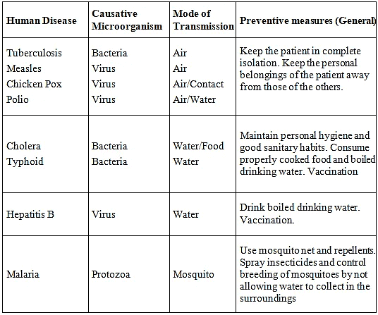 Microorganisms - Friend & Foe Summary Class 8 NCERT Summary