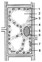 Class 9 Science: Sample Question Paper Term I- 8 (With Solutions)