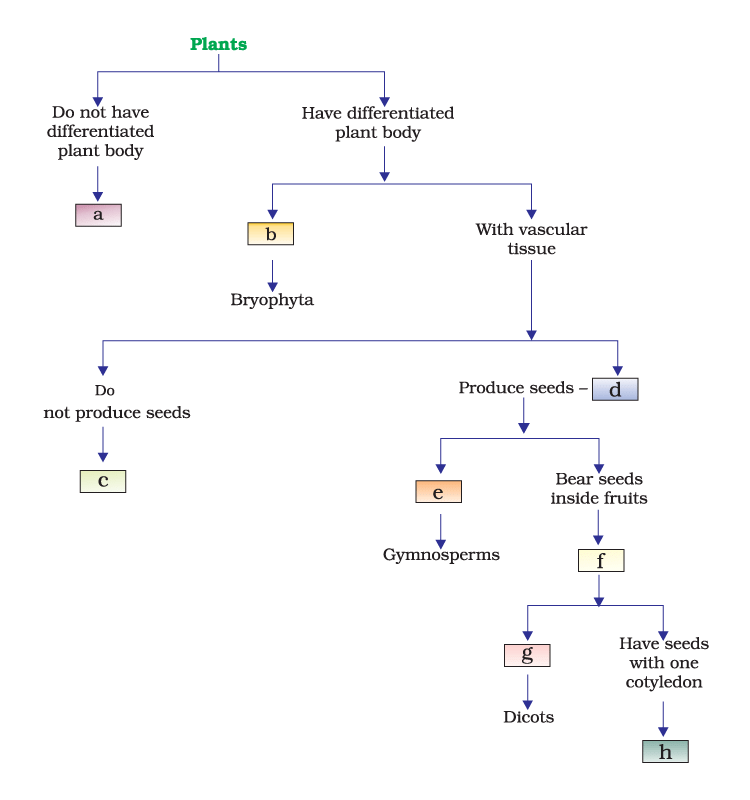 NCERT Exemplar: Diversity in Living Organisms - Class 9