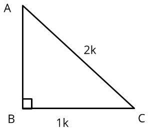 Some Application of Trigonometry Class 10 Worksheet Maths