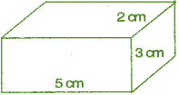 NCERT Solutions for Class 7 Maths - Visualising Solid Shapes- 1