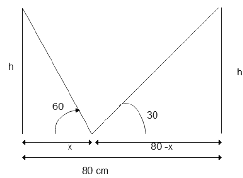 Some Application of Trigonometry Class 10 Worksheet Maths