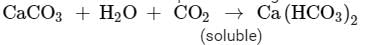 CBSE All India Paper Of Class 10 Science - 2019 (With Solutions) | Past Year Papers for Class 10