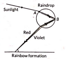 Class 10 Science Chapter 10 Previous Year Questions - The Human Eye and the Colourful World