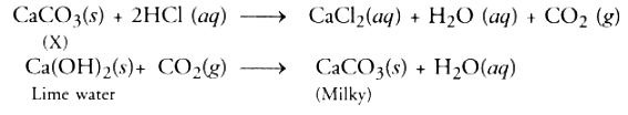 Class 10 Science Chapter 2 HOTS Questions - Acids, Bases and Salts