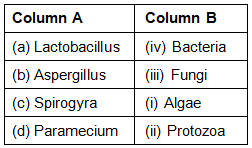 NCERT Exemplar Solutions: Microorganisms : Friend or Foe | Science Class 8