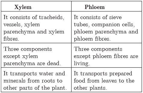 Class 9 Science Chapter 6 Question Answers - Tissues