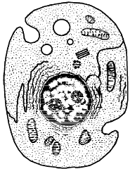 Class 8 Science: Sample Question Paper - 9 | Science Class 8