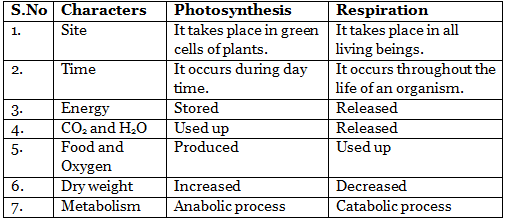 Aerobic & Anaerobic Respiration | Science Class 10