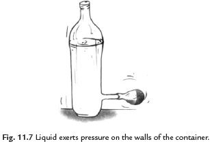 Short and Long Answer Questions: Pressure, Winds, Storms, and Cyclones | Science Curiosity Class 8 -  New NCERT
