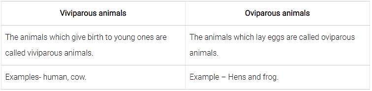 Lakhmir Singh & Manjit Kaur: Reproduction In Animals- 2 | Lakhmir Singh & Manjit Kaur Solutions: Class 8 Science