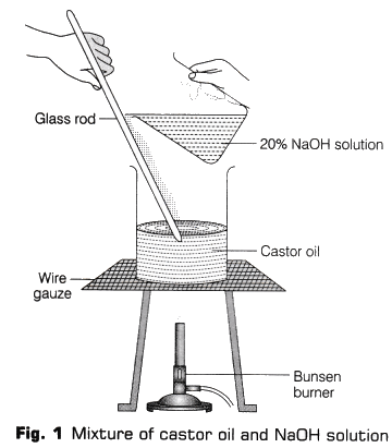 Lab Manual: Soap Preparation - Class 10
