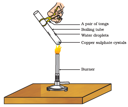 Diagram Based Questions: Acids, Bases and Salts | Science Class 10