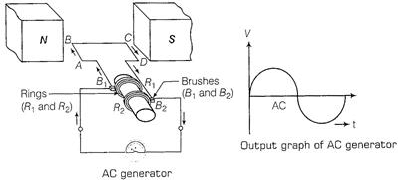 Class 10 Science: CBSE Sample Question Paper- Term I (2019-20) - 2 | Science Class 10