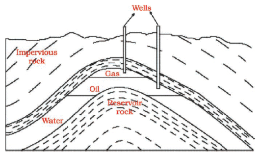 NCERT Exemplar Solutions: Coal & Petroleum | Science Class 8