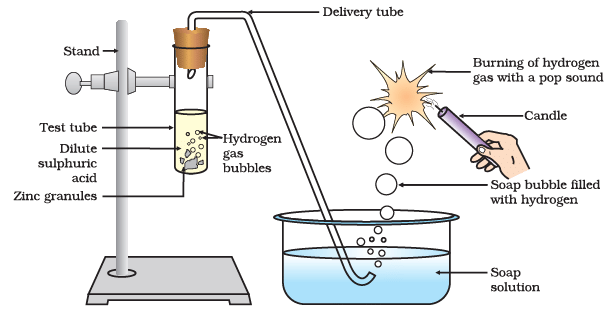 Diagram Based Questions: Acids, Bases and Salts | Science Class 10