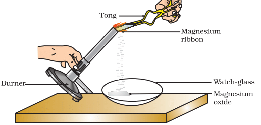 NCERT Based Activity : Chemical Reactions and Equations | Science Class 10
