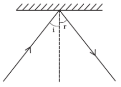 NCERT Exemplar Solutions: Light | Science Class 8