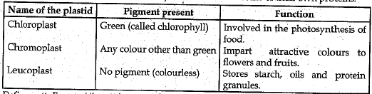 Class 9 Science: Sample Question Paper- 6 (With Solutions)