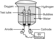 Sure Shot Questions for Board Exams: Chemical Reactions and Equations | Science Class 10