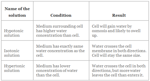 The Fundamental Unit of Life Summary Class 9 Science Chapter 5