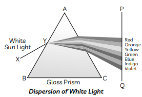 Class 10 Science Chapter 10 Previous Year Questions - The Human Eye and the Colourful World