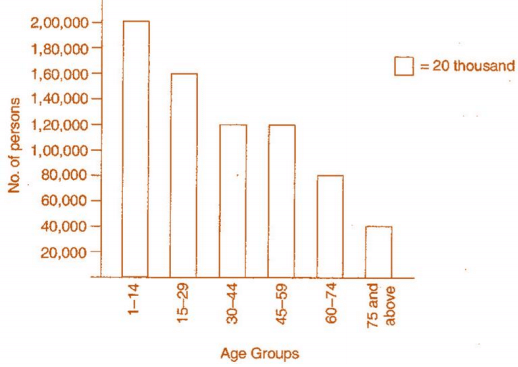 NCERT Solutions for Class 6 Maths - Data Handling (Exercise 9.4)